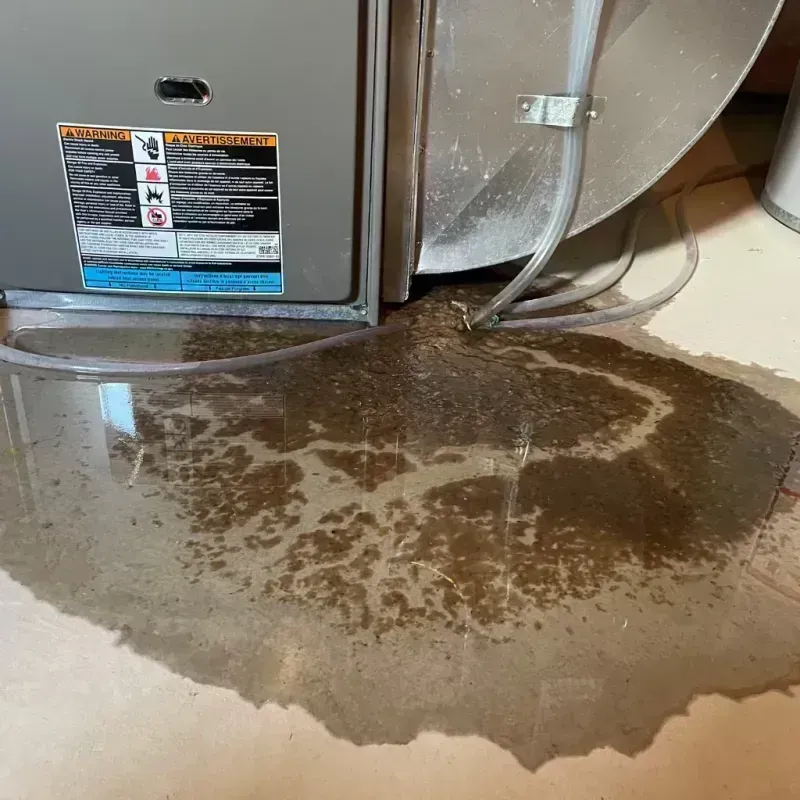 Appliance Leak Cleanup in Avon, CO